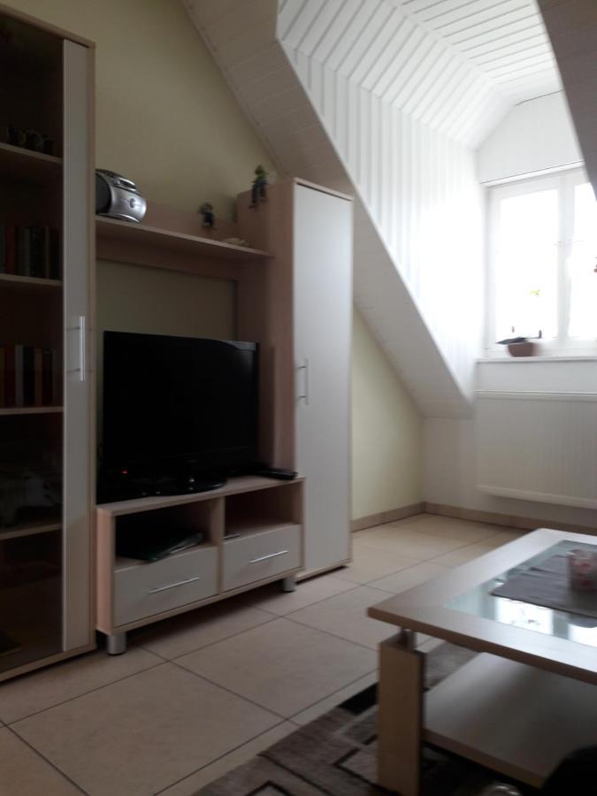 Wilke Apartment Luebbenau